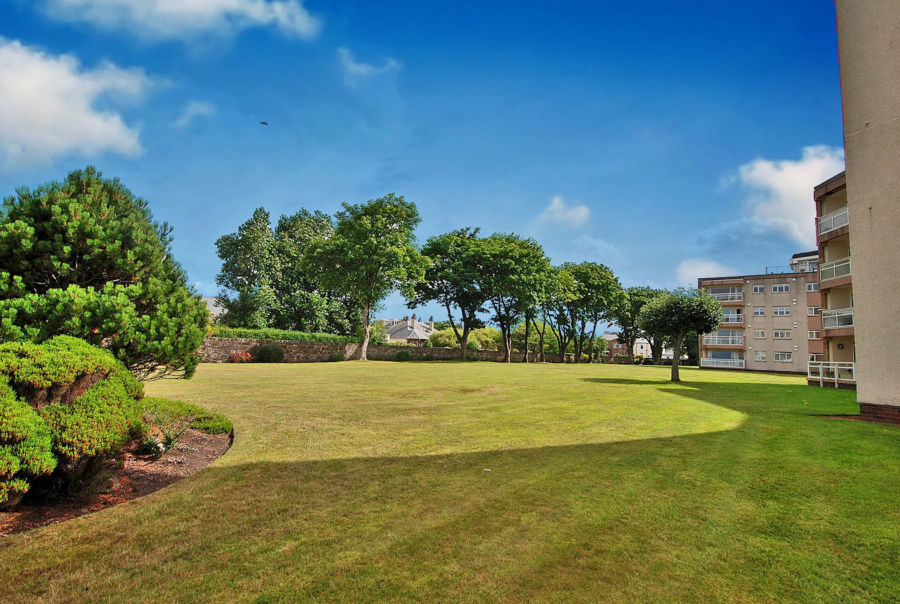 Ayr, Fairfield Park, KA7 2AU Black Hay